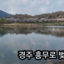 V로그영상편집 이미지