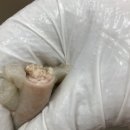 (주)제이오푸드 이미지