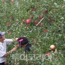 논개한우 이미지