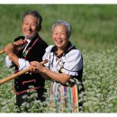 천두목장 네이버블로그