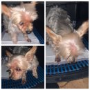 소호7길 이미지