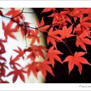 자연의선물 이미지