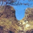 구주