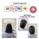 [경기/광주시] 세나헤어 리조이스원장 뿌리펌, 커트 후기(재방문의사 100%)