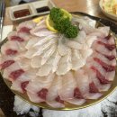 모일회