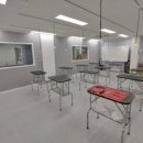 탑 애견 이미지