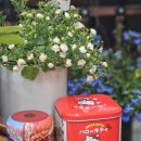 강남대로16길 16 이미지