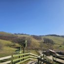 상면체육관 이미지