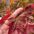 당진힐링펜션 | 충남 당진 펜션 서현민박 다녀온 후기