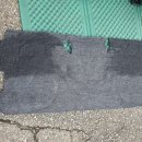 마스터카서비스 이미지