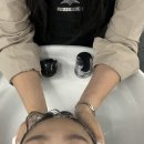 대연시장 동물약국 | 대연역 근처 미용실 베로헤어 레이어드펌 후기