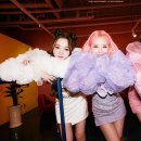 라임라잇 카카오 검색결과