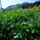 당촌경로당 이미지