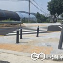 독점로 국제뉴스
