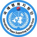 국제인력지원단 이미지