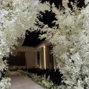 화신로8길1-26 | #W5-3. 일산 웨딩홀 투어 후기 / 화정 베네치아웨딩홀 26년 하반기 견적 공유 (계약X)