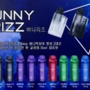 리즈(RIZZ) 네이버블로그