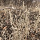 씨돌농장 이미지