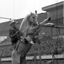 우상농장 이미지