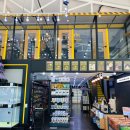 야옹아 멍멍해봐 이미지