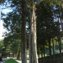 2018년 10월 23일 오늘의 운세 이미지