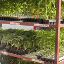 대농농약사 이미지