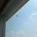 손가네바지락손칼국수 이미지