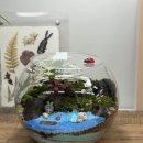 아이엠교육 | 여름 실내 아이랑 가볼만한곳 - 마곡 테라리움 키즈클래스 아이엠모스테라리움 내돈내산 솔직후기