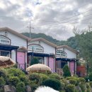 포포애견펜션 이미지