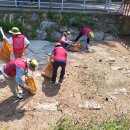 동촌유원지 녹수대 이미지