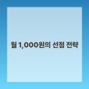 늘~성수기