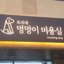 또리네 멍멍이 미용실 이미지