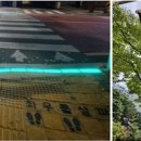 구립곡교어린이집 이미지