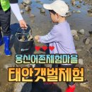 용신7 | (내돈내산) 태안 갯벌체험 용신어촌체험마을