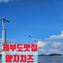 양지치즈조개구이 | 제부도 맛집 추천 🦪 3번째 방문한 내돈내산 또간집 '양지치즈조개구이활어회' 알찬세트 후기