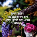 꽃보다아름다운당신 이미지