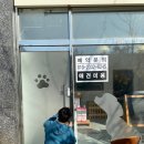 더 데일리 펫샵 이미지