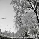 행운동-55 이미지