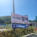 시크릿탑장어 이미지