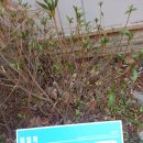 용인바이오고등학교 이미지