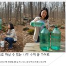 약나무마실 이미지
