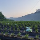 재후농장 이미지