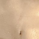 더마름 다이어트 목동점 이미지