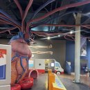 경기도어린이박물관 이미지