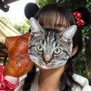 100번길편의점 | 도쿄 day2 | 3월의 디즈니씨 / 쫄보들의 어트렉션 후기 / 맛집