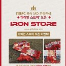 아이언몰 웹이코노미