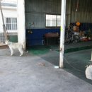 영진카클리닉 이미지