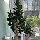 청담청아의원 이미지