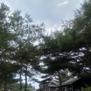 둥굴레펜션 이미지