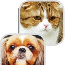 다오동물병원 이미지